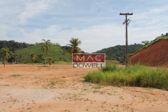 Terreno plano de 40.000 mts² em Papucaia - Foto 7