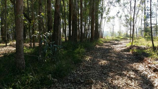 Condomínio de chácaras em Sapiranga - Vivendas do Campo - Foto 11
