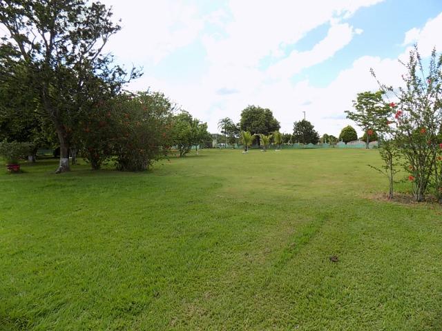 Chácara de 6.000 m², local perto da cidade (Nogueira imóveis) - Foto 7