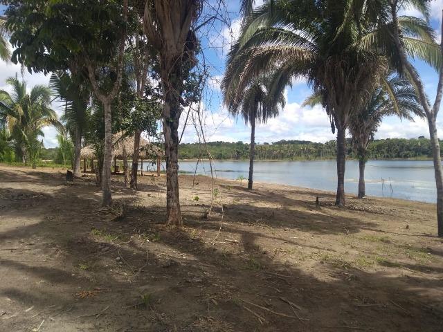 Vendo uma chácara com 4 hectares no lago do manso para lazer - Foto 18