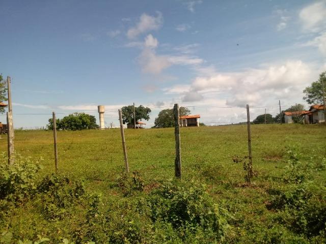 Fazenda 1.940 hectares na Estrada do Manso a 50 km de Cuiabá - Foto 14