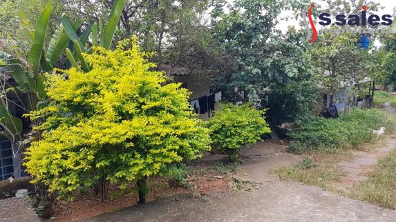 Casa à venda com 1 dormitórios em Colônia agrícola samambaia, Brasilia cod:CA00274