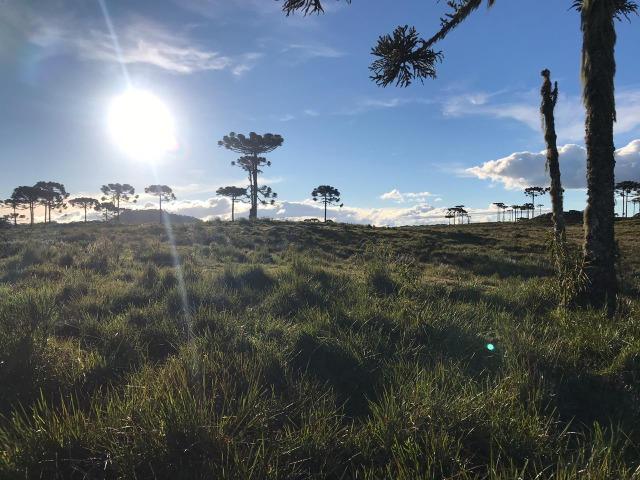 Terreno Urubici Chácara Urubici