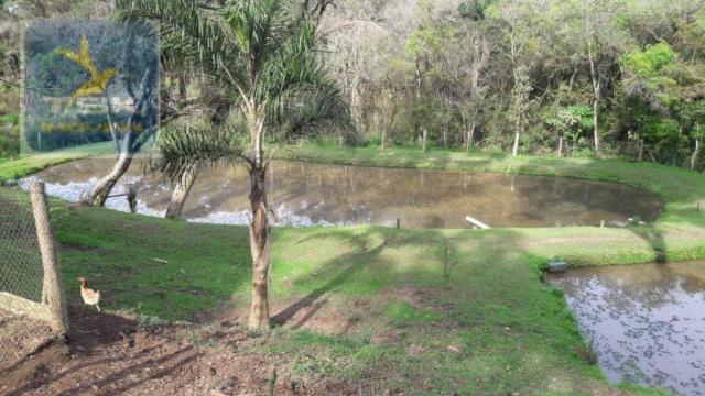 Ch0311 - mandirituba - chácara 10.000 m² com casa antes do pedágio - Foto 17