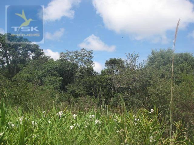 Piraquara chácara 64.471,25 m² planta deodoro infinitas possibilidades dentro da cidade ch - Foto 10