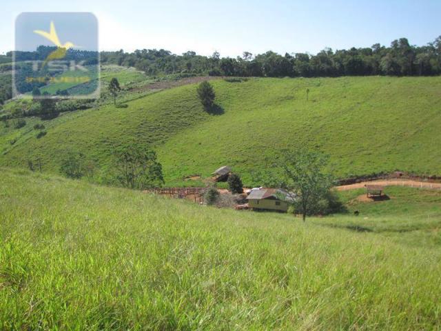 Ch0188 cerro azul chácara 12 alq. 57 km de curitiba/atuba - Foto 18
