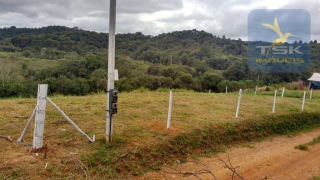 Ch0358 mandirituba 5.000 m², antes do pedágio, luz e riacho, cercada - Foto 2