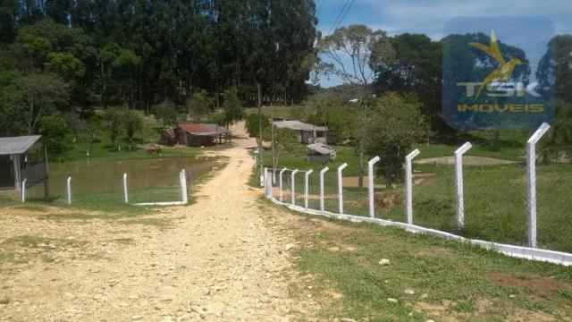 Fa0009 fazenda à venda, 605000 m² por r$ 3.150.000 - zona rural - quitandinha/pr - Foto 20