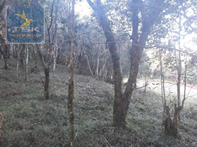 CH0300 - Chácara Agudos do Sul 12.100 m² 3 km da cidade - Foto 8