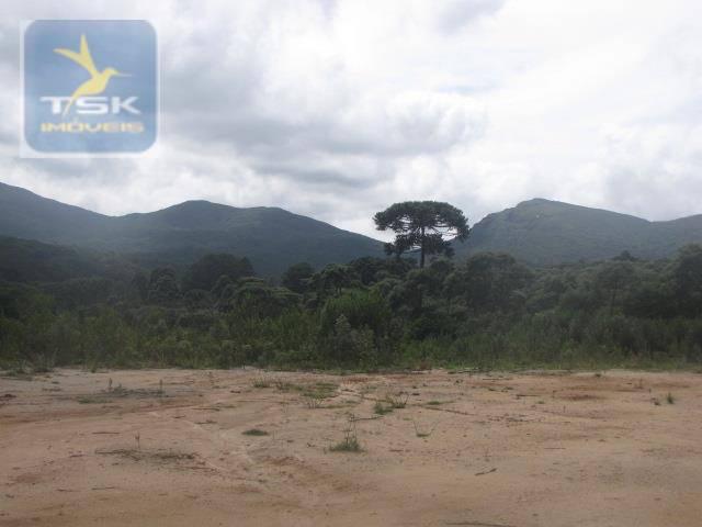 Piraquara chácara 64.471,25 m² planta deodoro infinitas possibilidades dentro da cidade ch - Foto 15
