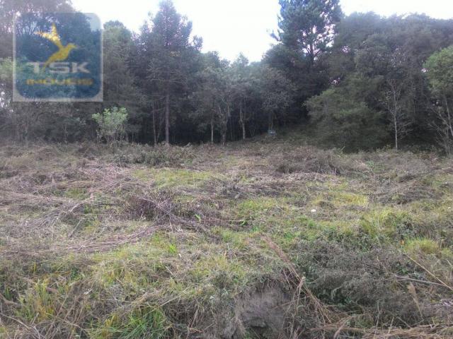 CH0300 - Chácara Agudos do Sul 12.100 m² 3 km da cidade