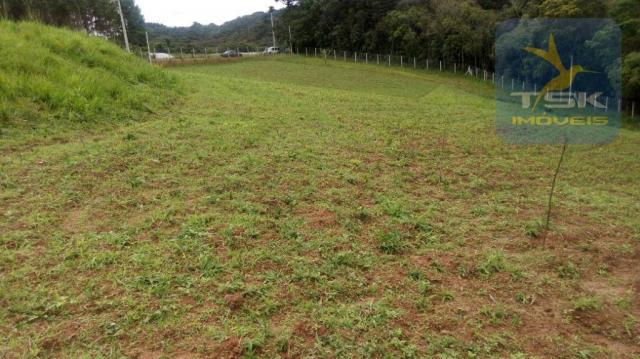 Ch0315 - são josé dos pinhais chácara 20.000 m² casa nova formada lago - Foto 6
