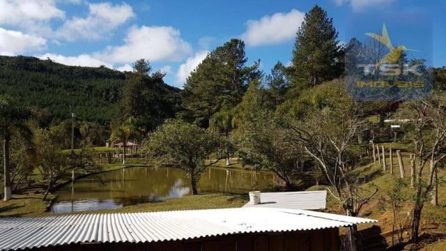 Ch0291 mandirituba (porteira fechada) chácara 14.500,00 m² - Foto 4