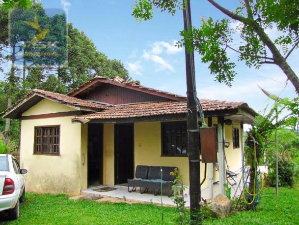Chácara rural à venda, 4 pinheiros, mandirituba. - Foto 2