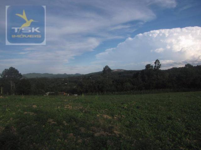 Te0023 agudos do sul - 6 lotes de 337,50 m² cada oportunidade perto da cidade - Foto 2