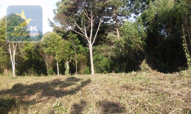 Ch0190 mandirituba chácara 4.400 m² vendo ou troco lugar bom de conhecer - Foto 9