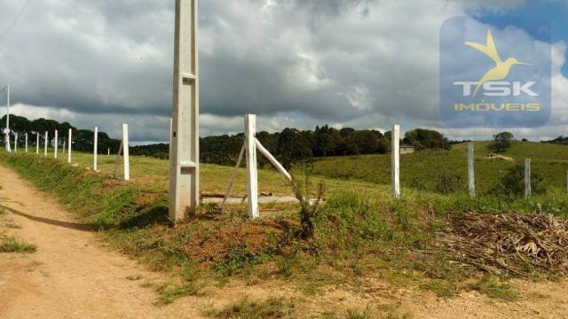 Ch0358 mandirituba 5.000 m², antes do pedágio, luz e riacho, cercada