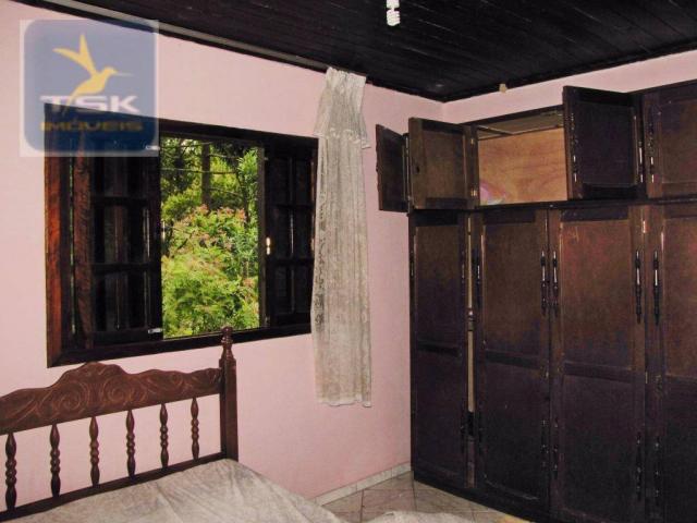 Chácara rural à venda, 4 pinheiros, mandirituba. - Foto 10