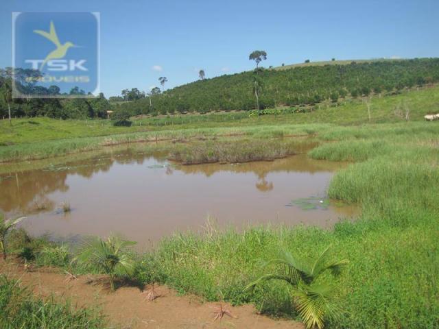 Ch0188 cerro azul chácara 12 alq. 57 km de curitiba/atuba - Foto 20