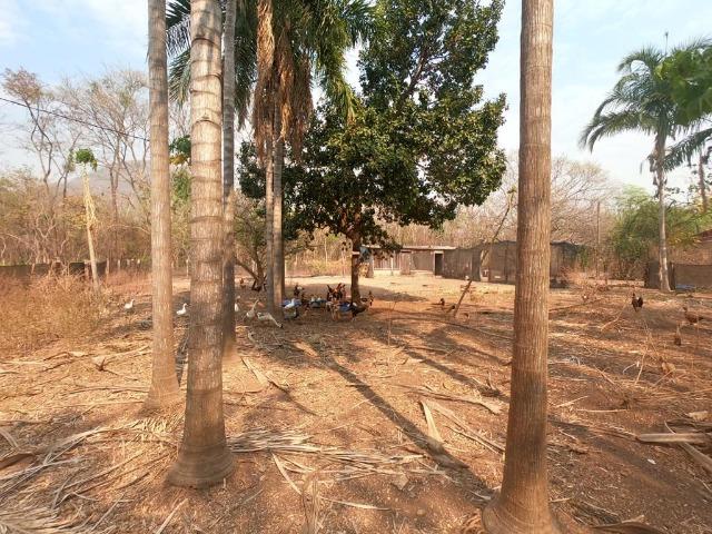 Vendo Sítio com 10 hectares à 23 Km de Cuiabá sentido Santo Antonio, - Foto 12