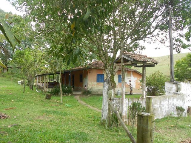 Jordão Corretores - Fazendinha leiteira 5 alqueires - Foto 6