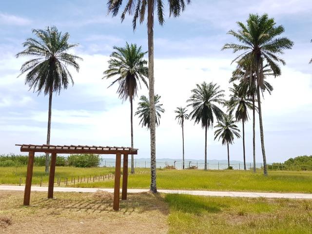 Casa de praia - Lotes em Santo Amaro Saubara. Entrada facilitada! - Foto 2