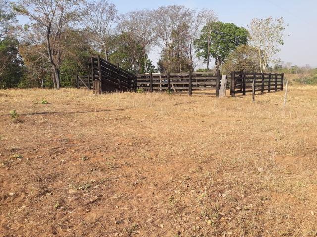 Vendo uma chácara, de 54 hectares em chapada - Foto 10