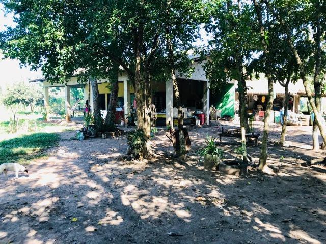 Vendo Chacara no Distrito de Santo Antonio - Foto 13