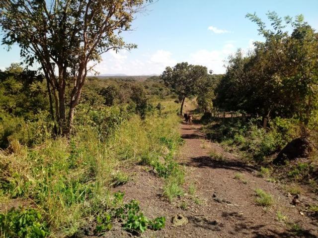 Chácara de 4 Hectares na Beira do Rio Cuiabá antes de Acorizal - Foto 9