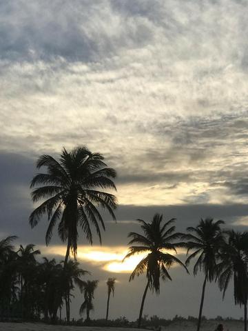 Apto wai wai Cumbuco - Pé na areia - Foto 13