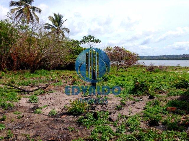 Lotes - Mal Deodoro - Beira de Lagoa - Foto 4