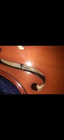 Violino eagle