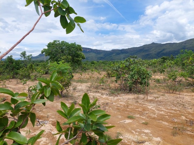 Fazenda de 959 alqueires em Cavalcante Go - Foto 2
