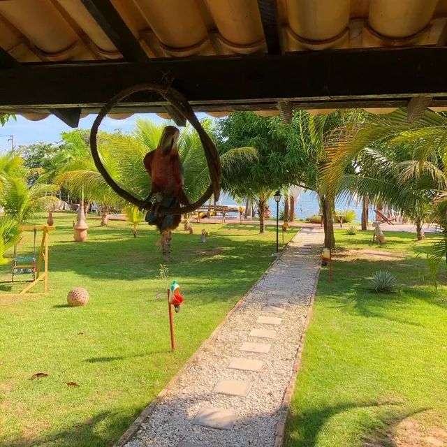 Chácara na beira do rio São Francisco - Foto 6