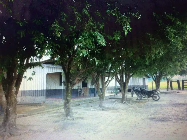 Fazenda à venda, 1 quarto, RODOVIA - NOVA MONTE VERDE/MT - Foto 2