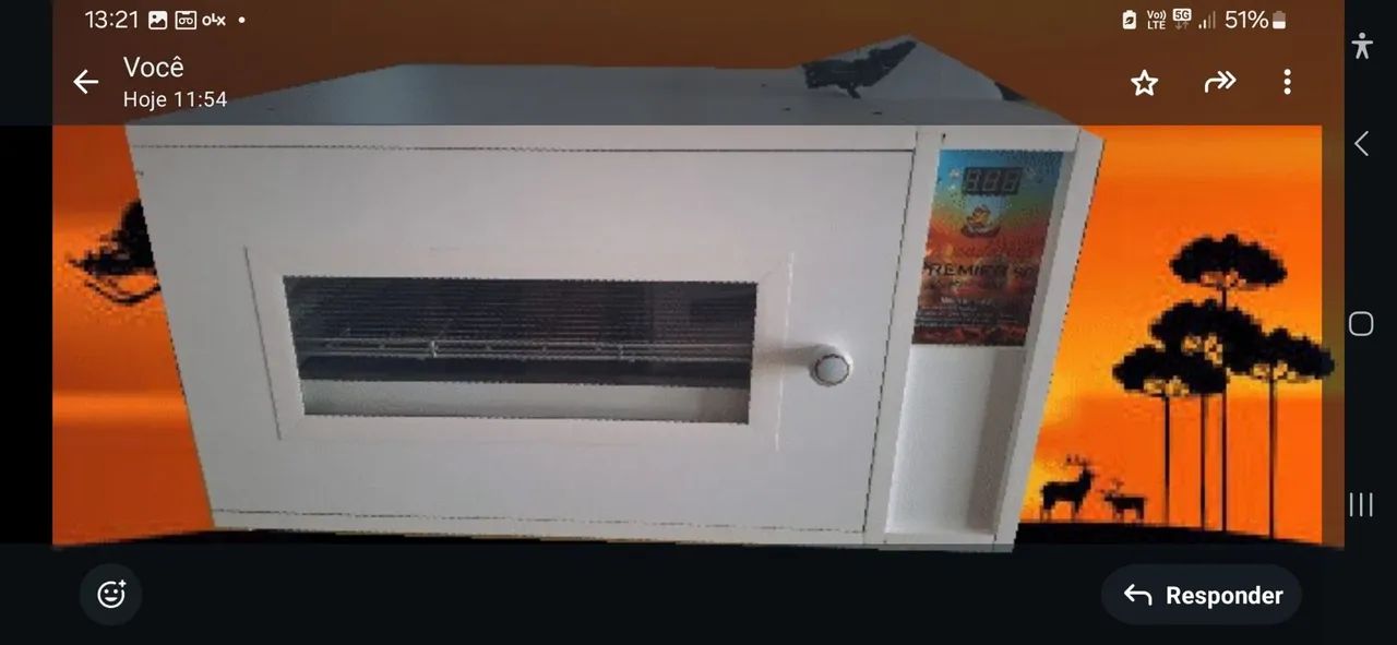 Chocadeira automatica 240 ovos, com 02 grades - Foto 2