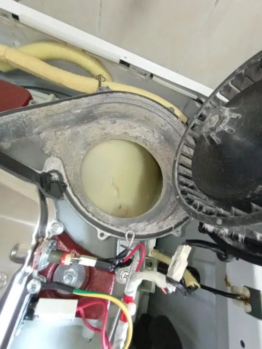 Lava e Seca - Manutenção e Higienização  - Foto 3