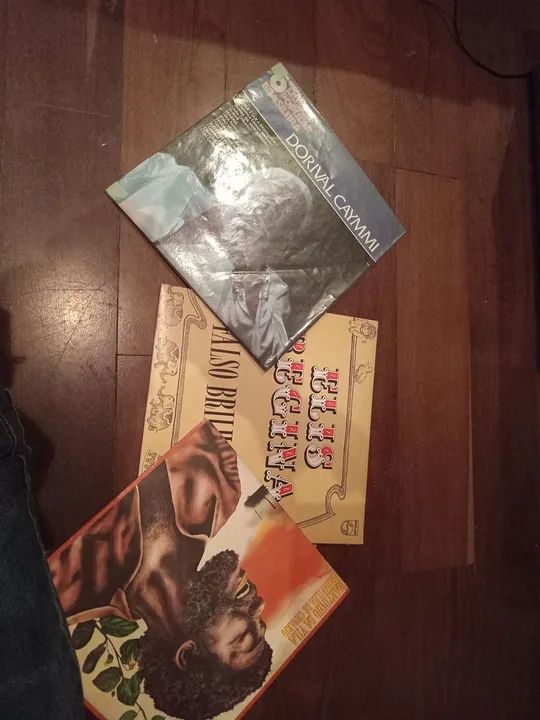 Discos de vinil mpb/ sertanejo  raiz samba...