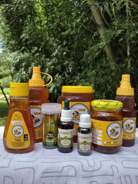 Kit de Mel 280g, Própolis verde 30ml e Pólen 50g - Coapis - Direto do Apiário!