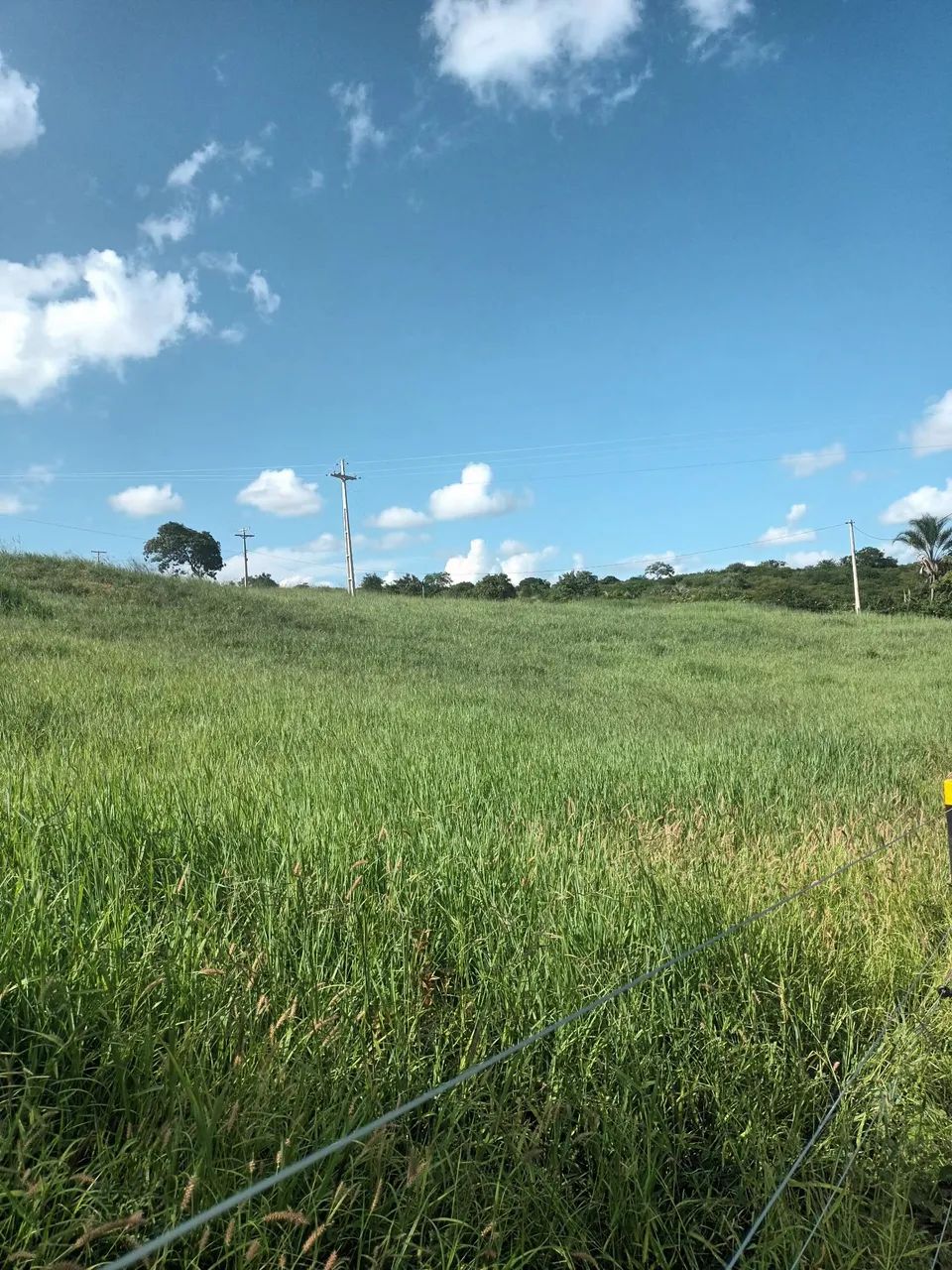 Foto - Vitória da Conquista - Candeias