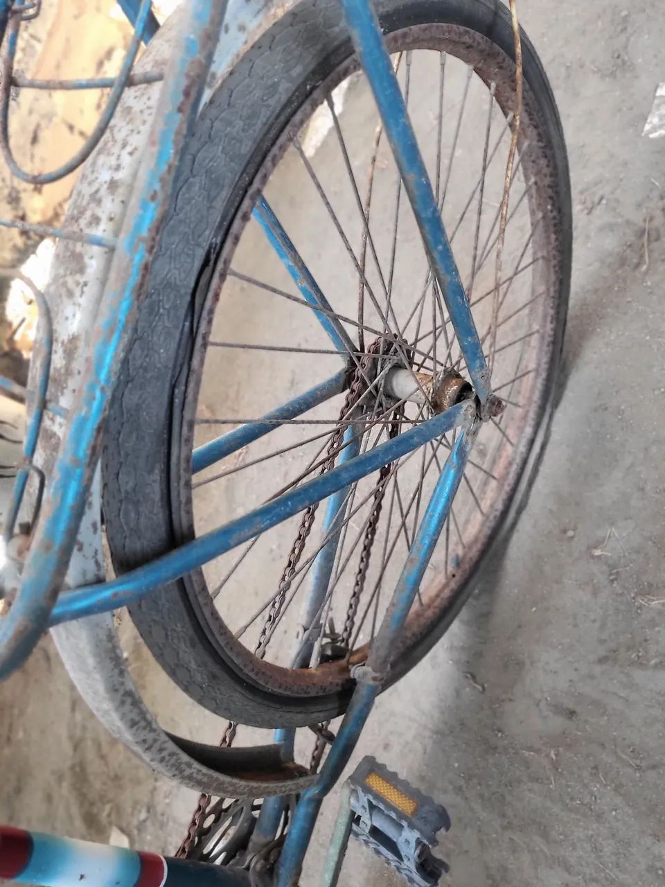 Ciclismo 