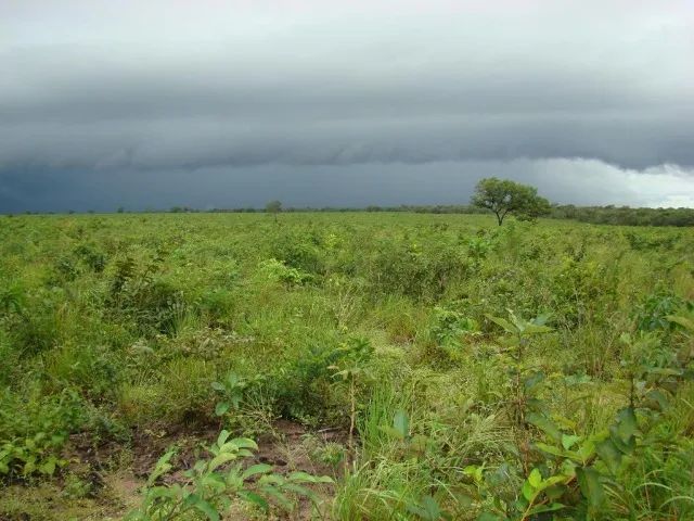 Fazenda em São Bernardo do Maranhão - Foto 2