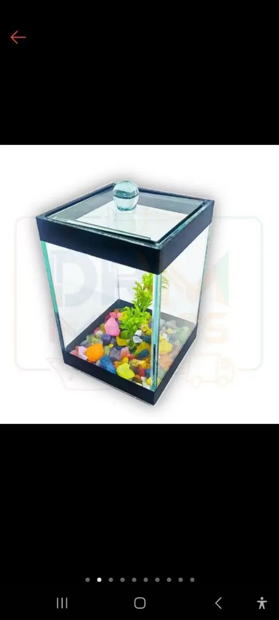 Aquários para decoração e criaçao - Foto 3