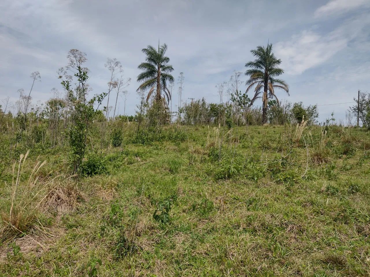 Fazenda/Sítio/Chácara para venda possui 12100 metros quadrados em Rural - Torre de Pedra - - Foto 2