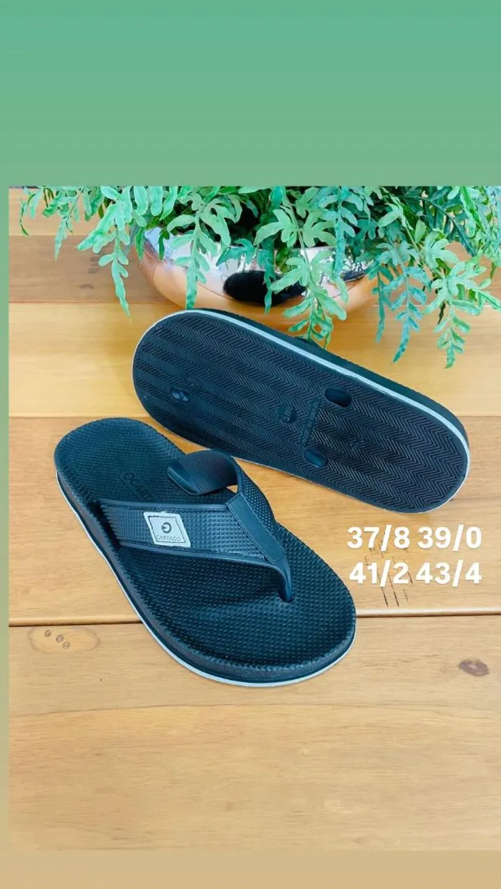 Chinelo Cartago Várias Cores