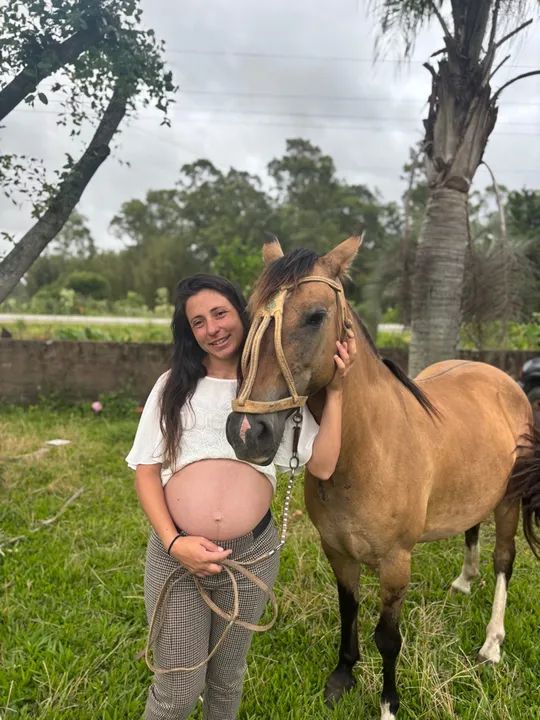 Vendo égua crioula  - Foto 3