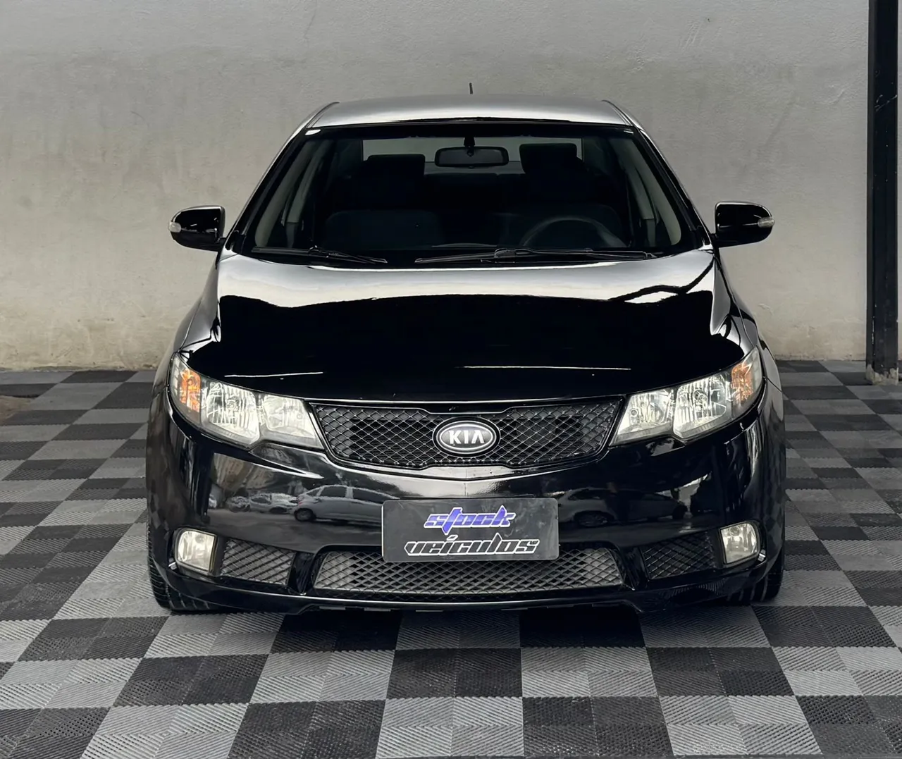 Vendo cerato