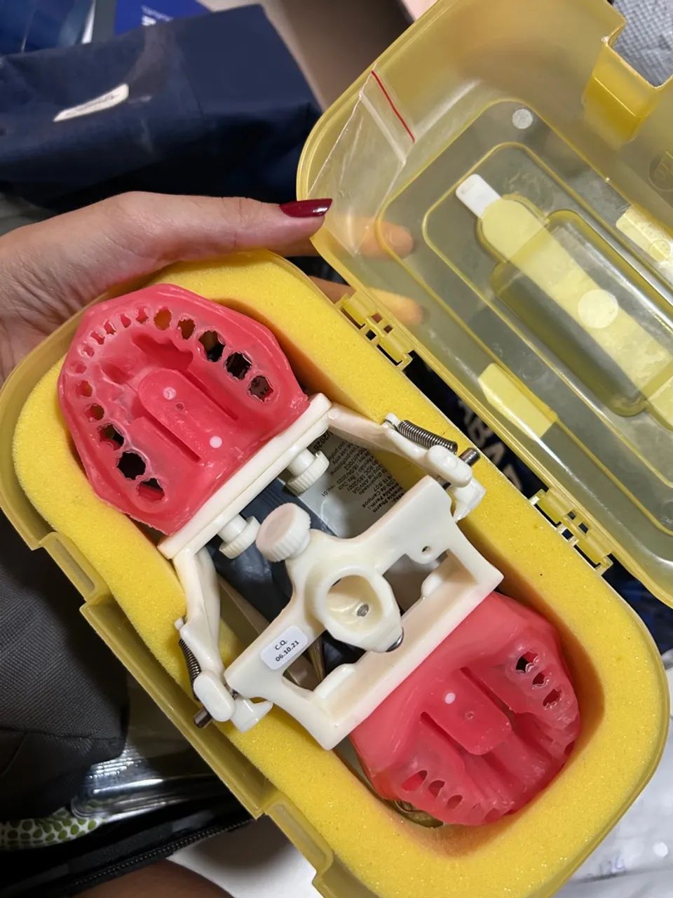 Manequim Endodontia - Odontologia