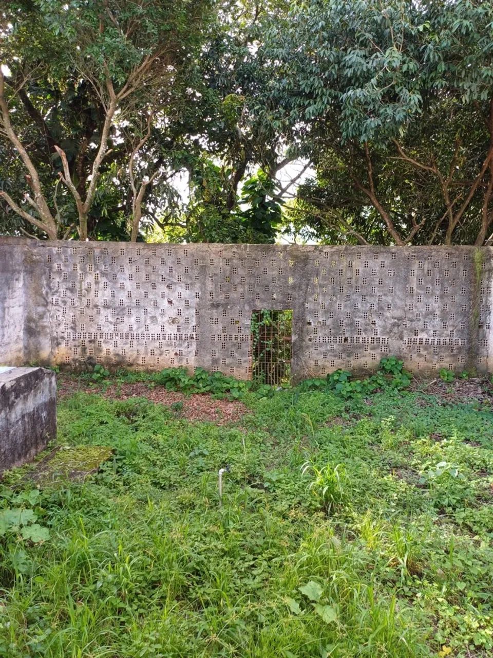 Foto - Abreu e Lima - Caetés II