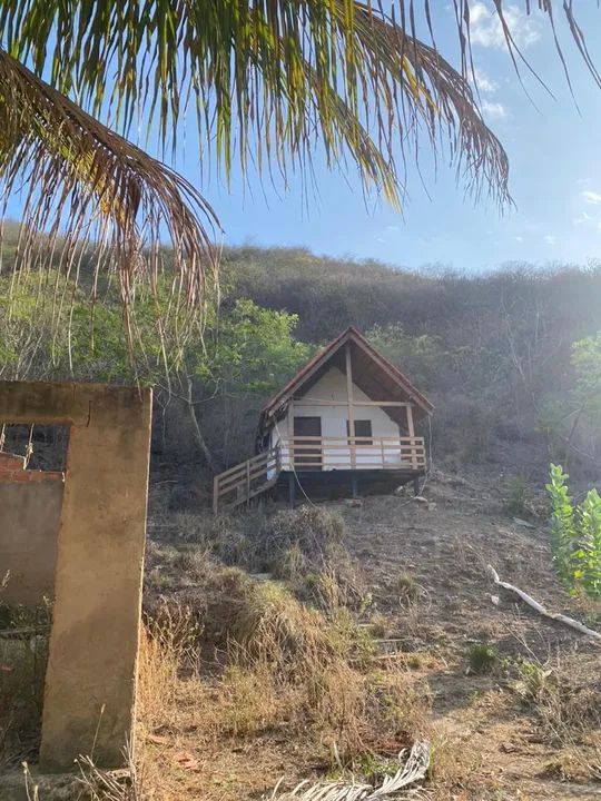 Propriedade na beira do rio São Francisco Traipu/Gararu - Foto 5